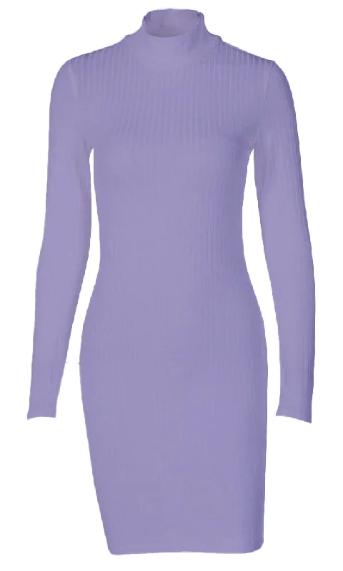 Beyond My Control Ribbed Long Sleeve Turtleneck Casual Bodycon Mini Dress